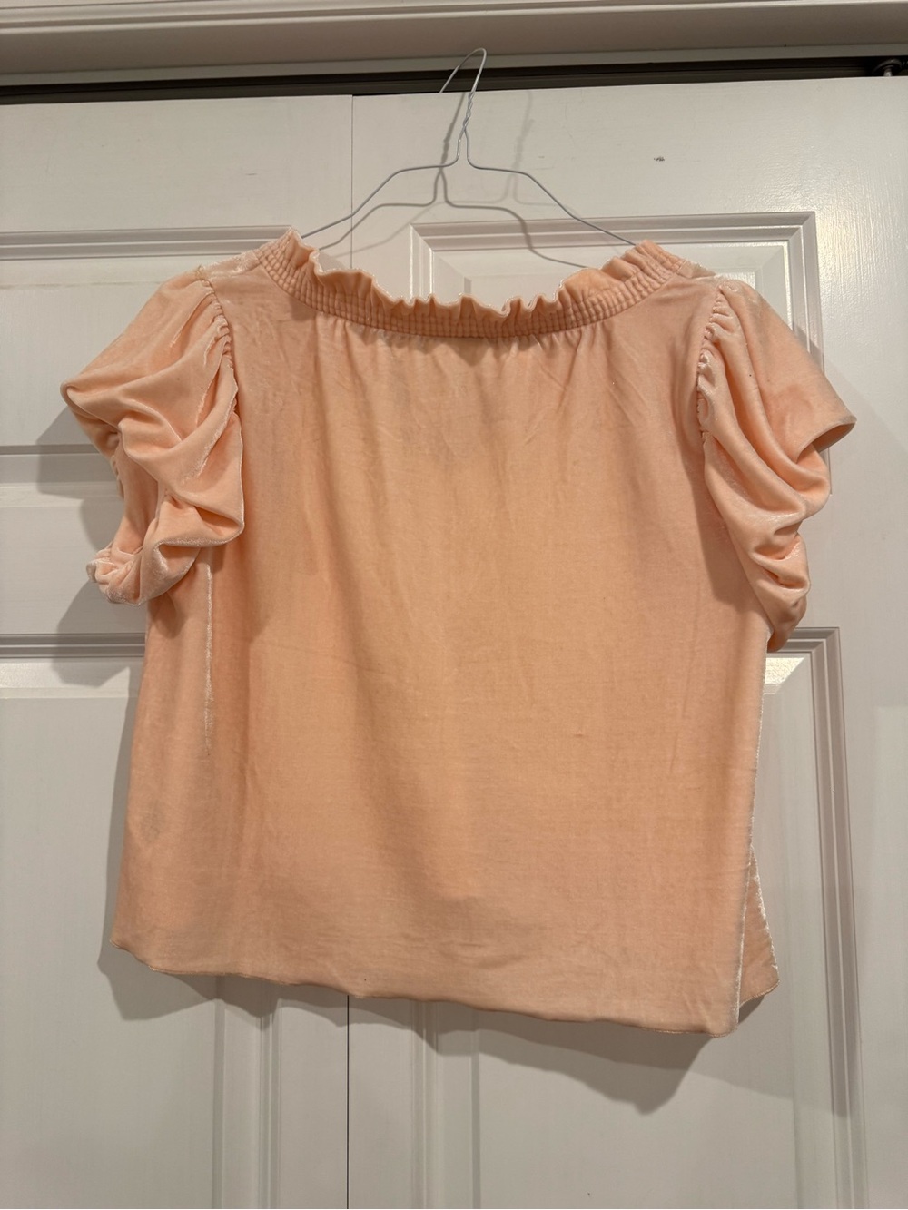 Free People Velvet Puff Sleeve Tie Front Top Blush Pink Size XS - Picture 4 of 16